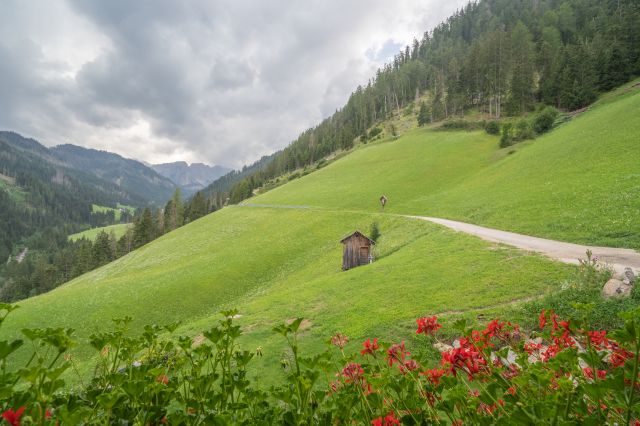 Immagine: Appartamento in agriturismo a San Martino